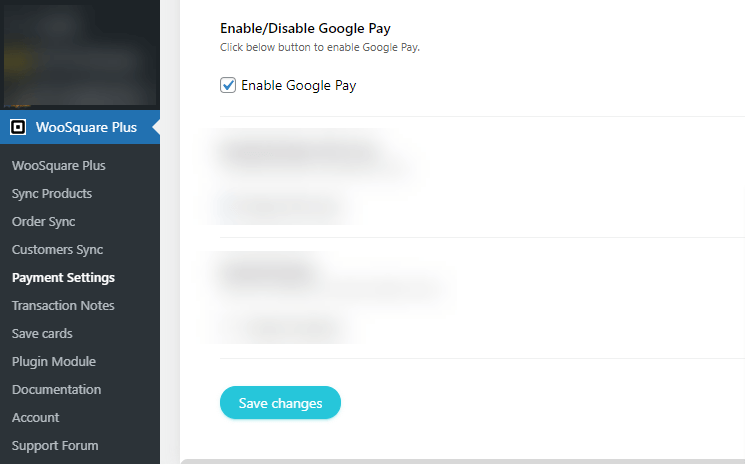 google pay feature