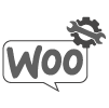 custom integration solution WooCommerce