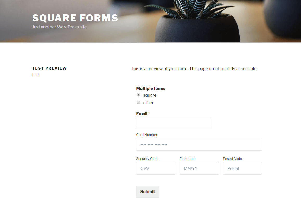 Form Preview in Front End